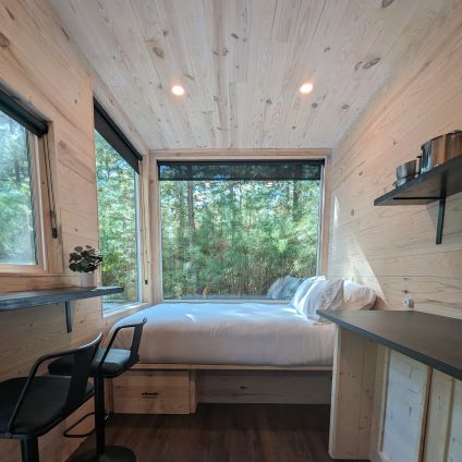 a hand holding a dandelion